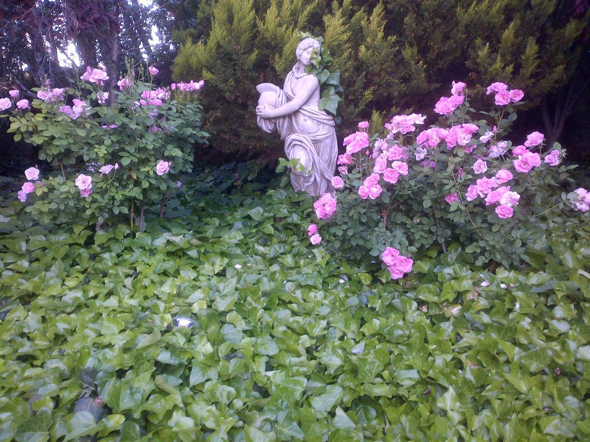 Giardino A 194 Bed & Breakfast Welkom Exterior foto